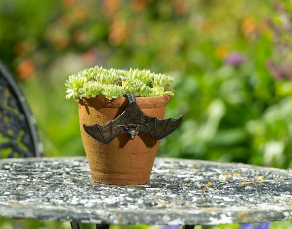 Ruukkukaveri Lepakko siivet avoinna, Jardinopia - Image 4
