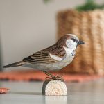 DecoBird koristelintu Varpunen - House Sparrow, Wildlife Garden on lisätty toivelistallesi