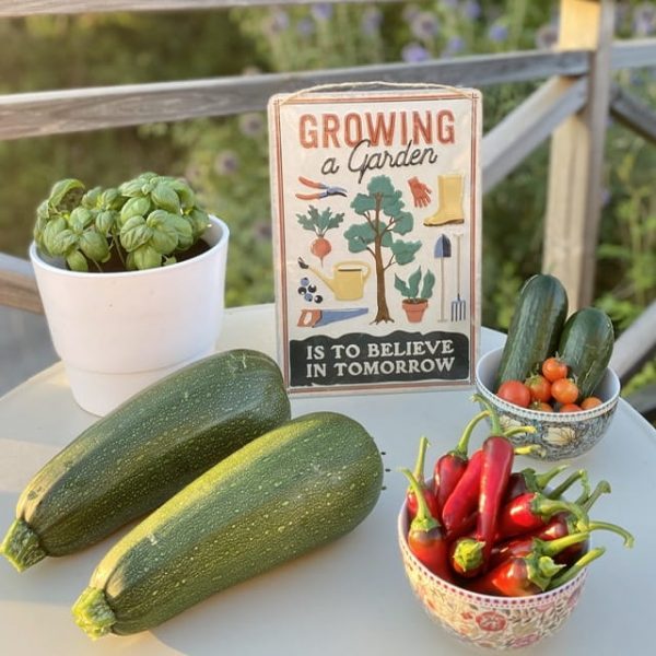 Peltikyltti Growing a garden 20 x 30 cm - Image 3