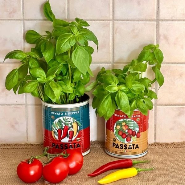 Värikkäät peltipurkit Passata Tomaattikastike 2 kpl setti - Image 8