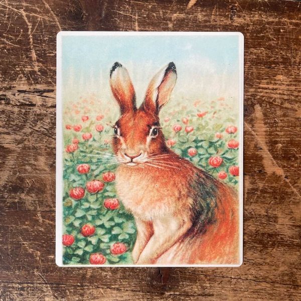 Peltikyltti Jänis apilapellolla 20x25 cm