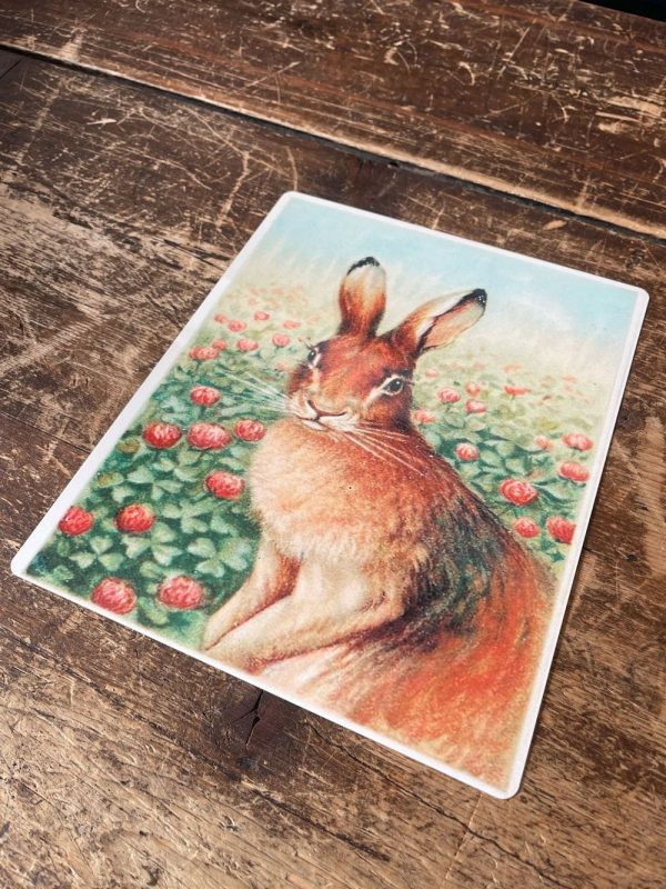 Peltikyltti Jänis apilapellolla 20x25 cm - Image 2
