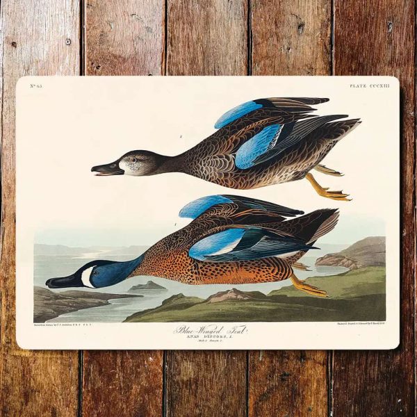 Peltikyltti Sorsat 20x25 cm