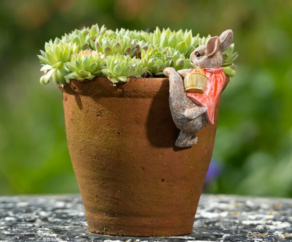 Ruukkukaveri Beatrix Potter Flopsy pupu, Jardinopia - Image 8