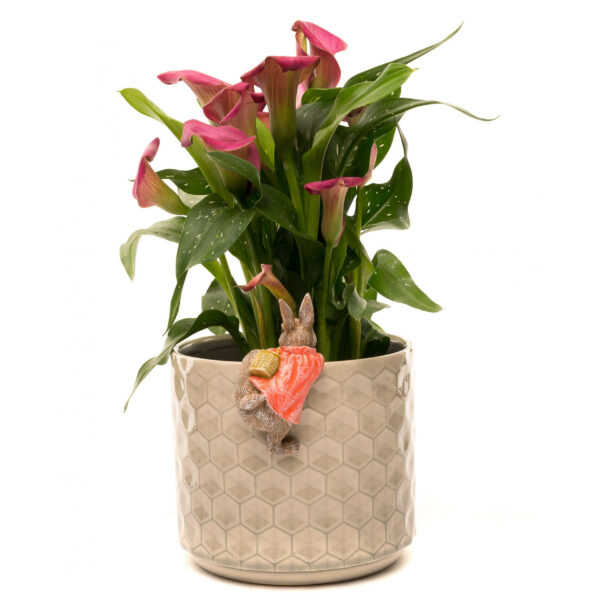 Ruukkukaveri Beatrix Potter Flopsy pupu, Jardinopia - Image 5