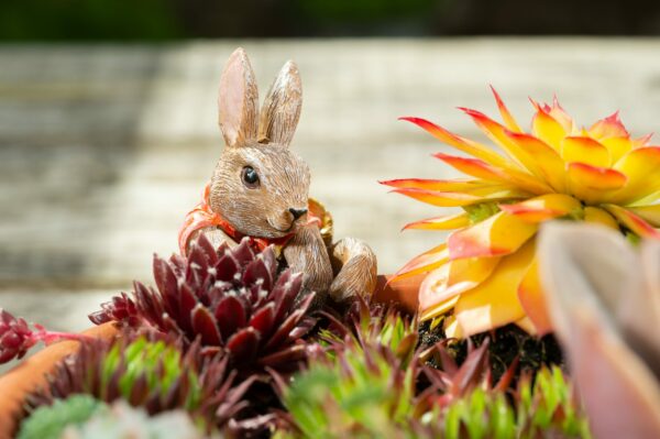 Ruukkukaveri Beatrix Potter Flopsy pupu, Jardinopia - Image 4