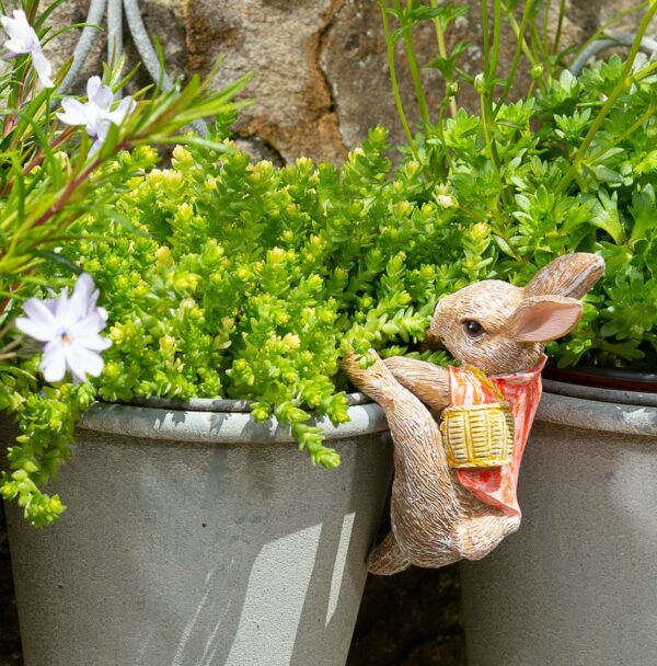 Ruukkukaveri Beatrix Potter Flopsy pupu, Jardinopia - Image 2