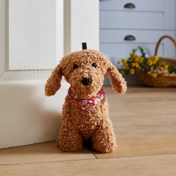 Ovistoppari Koira Villakoira / Cockapoo, Ulster weavers - Image 2