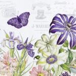 Servetti Belle Jardin 33 x 33 cm on lisätty toivelistallesi