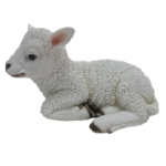 Makoileva pieni lammas on lisätty toivelistallesi
