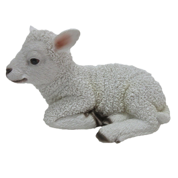 Makoileva pieni lammas