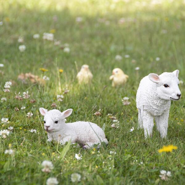 Makoileva pieni lammas - Image 2