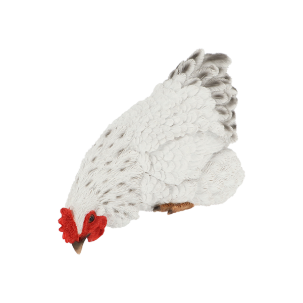 Kana reunan yli kurkotteleva valkoinen - Image 5