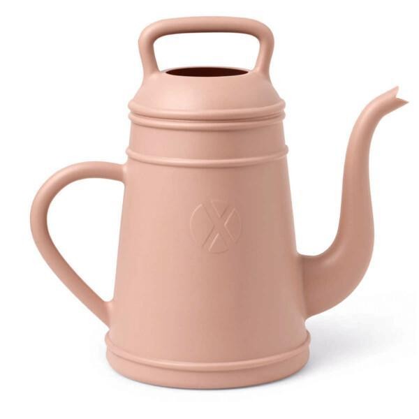 vaaleanpunainen Lungo