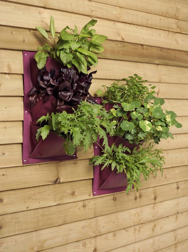 Seinäpuutarha istutustasku 2 kpl setti - Verti-plant Violetti, Burgon & Ball - Image 6
