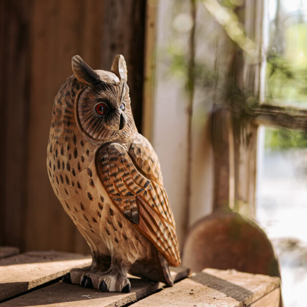 DecoBird Sarvipöllö - Long-Eared Owl, Wildlife Garden - Image 6