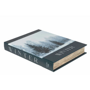 Kirjalaatikko Talvi - Winter 22 x 29 cm